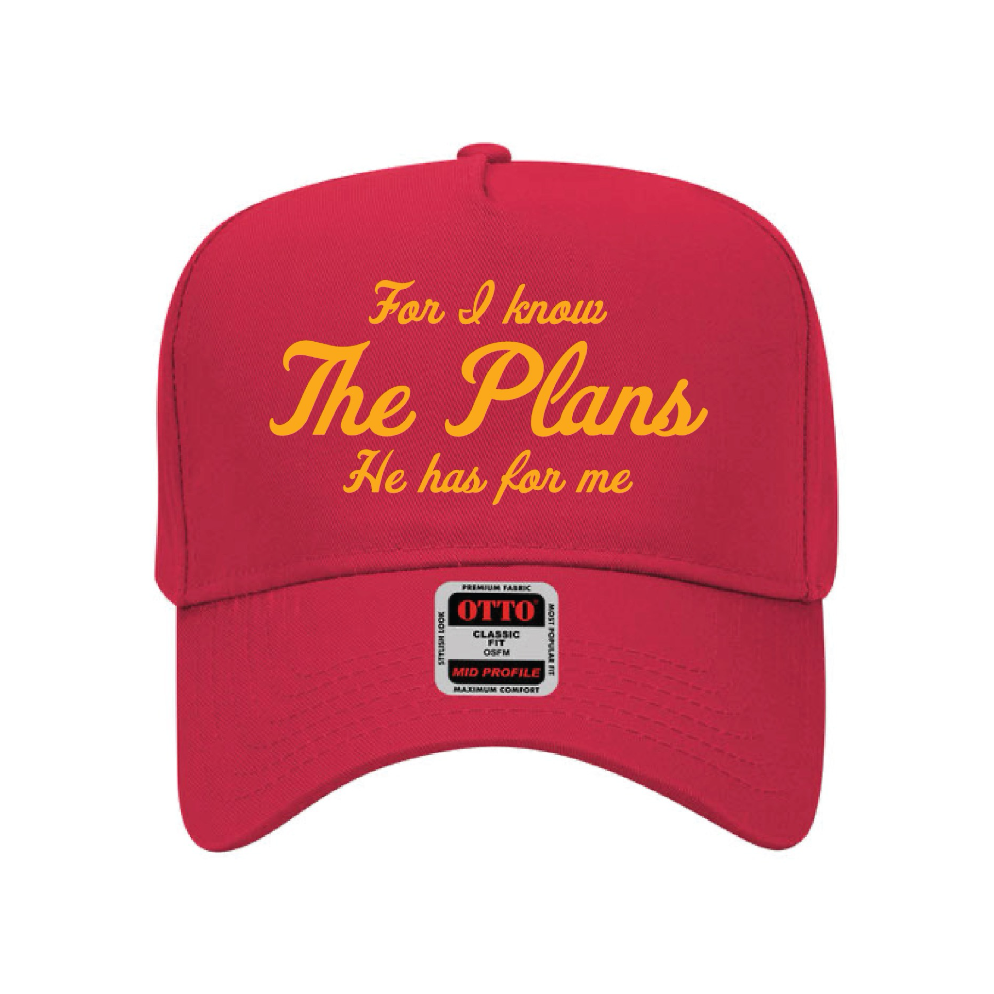 THE PLANS - CLASSIC FIT HAT